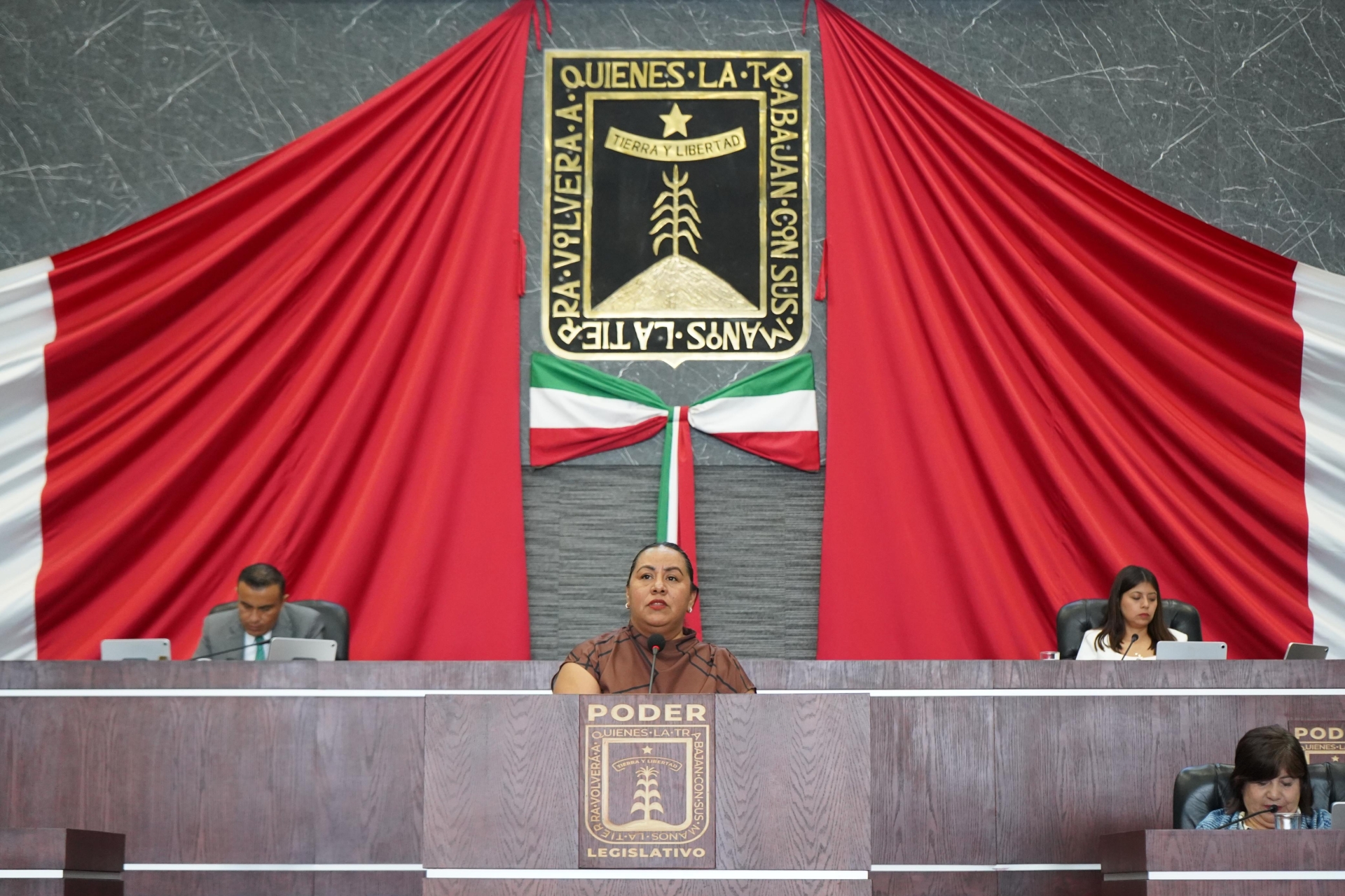Propone Jazmín Solano reformas para incluir los bastones blanco y verde en beneficio de la discapacidad visual