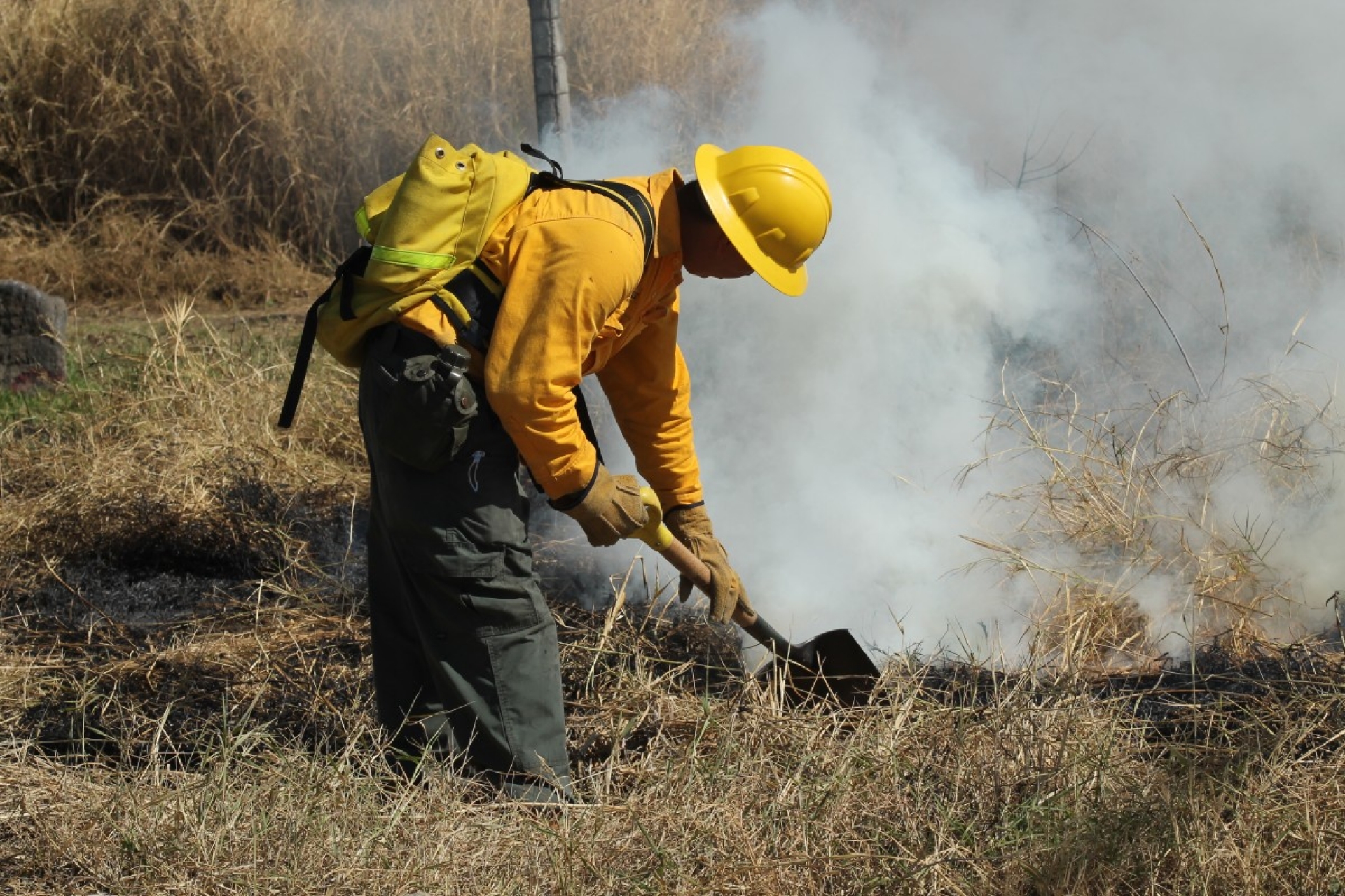 Llama SDS a prevenir incendios forestales