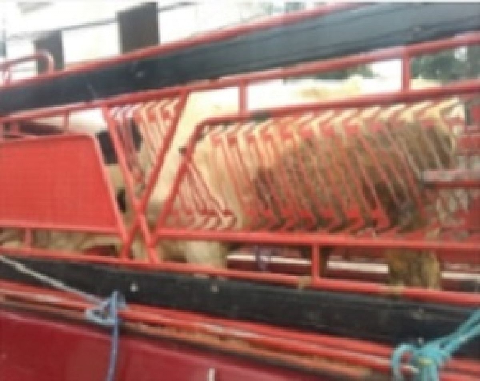 Atrapan a presunto abigeo en Ocuituco