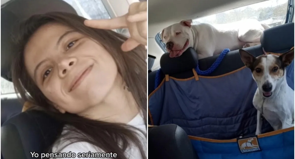 Joven Crea 'Uber Canino' y Revoluciona TikTok