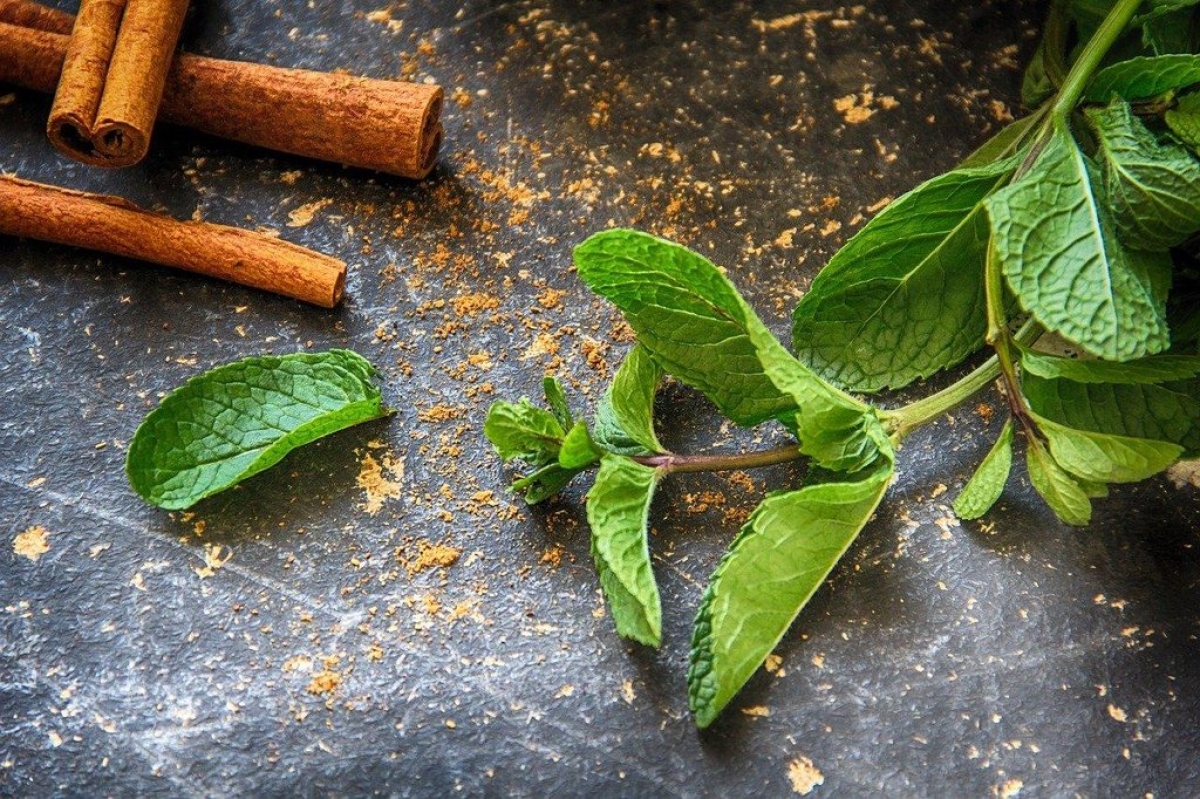 Té de hierbabuena con canela, así puedes preparar esta bebida antes de dormir