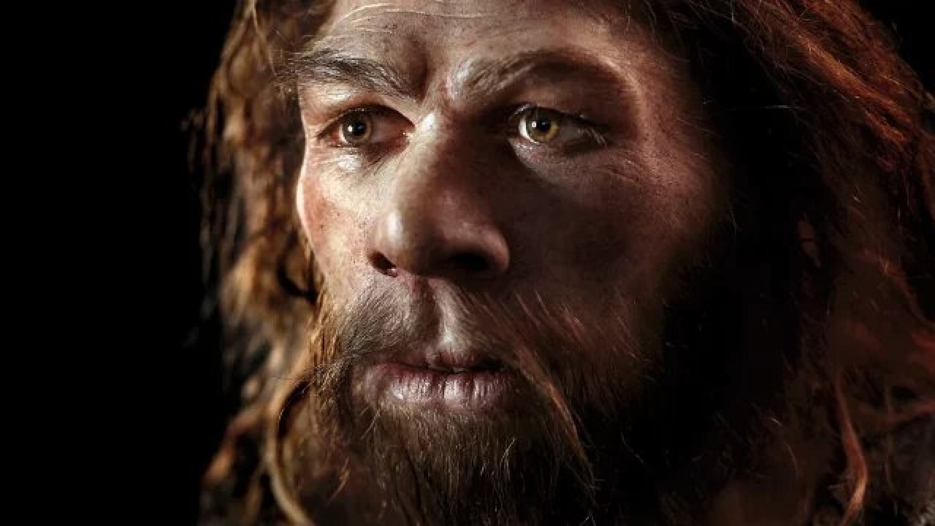Hallan linaje neandertal aislado por más de 50,000 años hasta su extinción