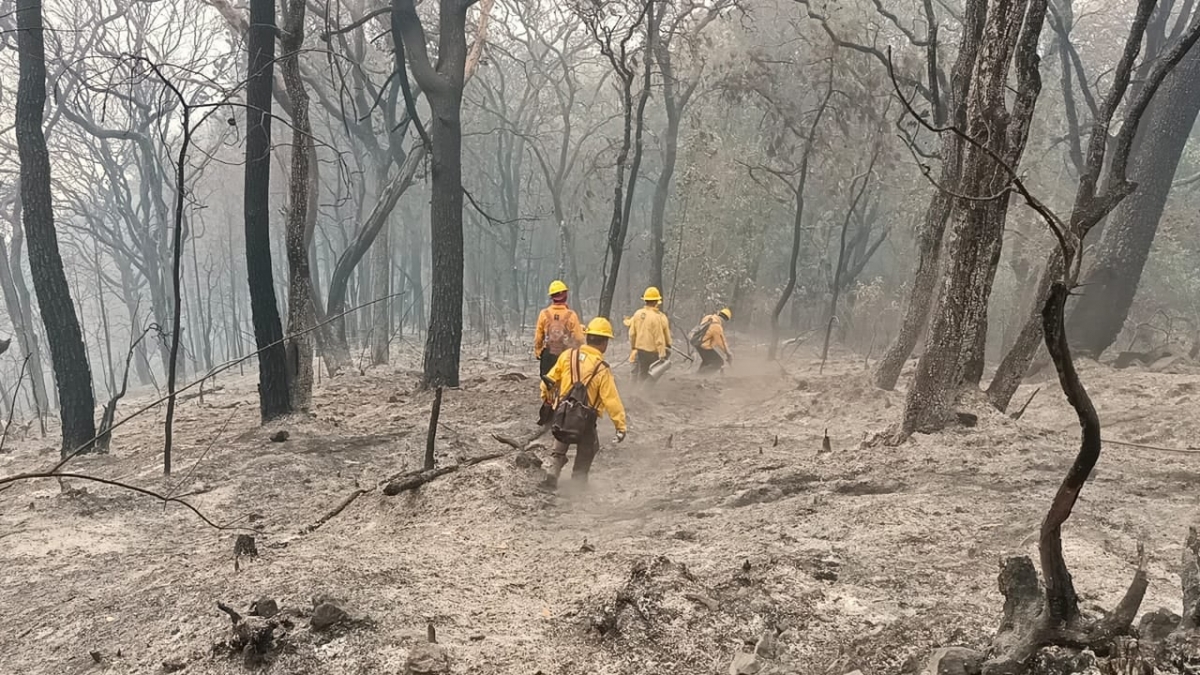 Se mantiene 20% de control del incendio forestal en paraje 'Malinalapa': EEMI