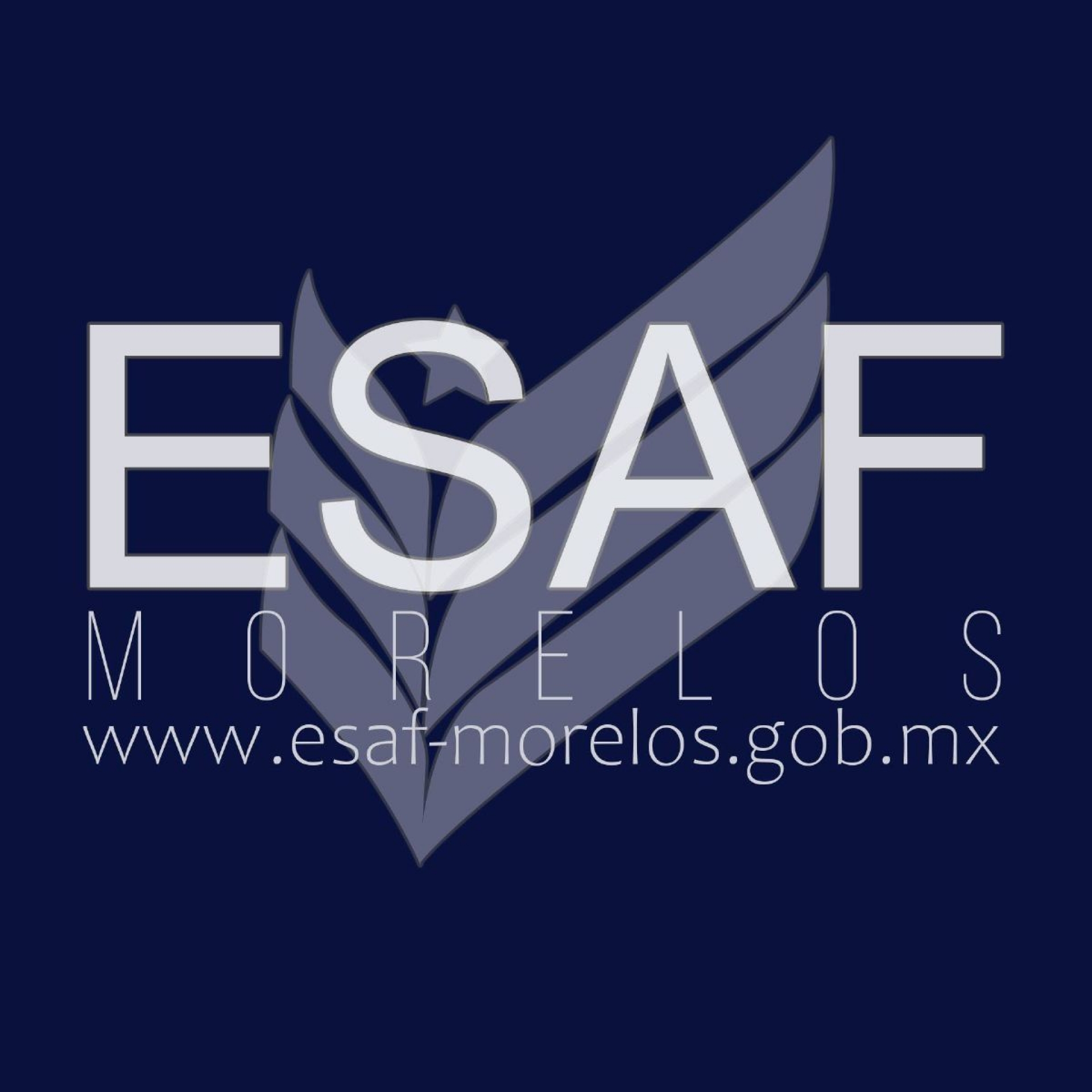Piden contadores participar en cambio en ESAF