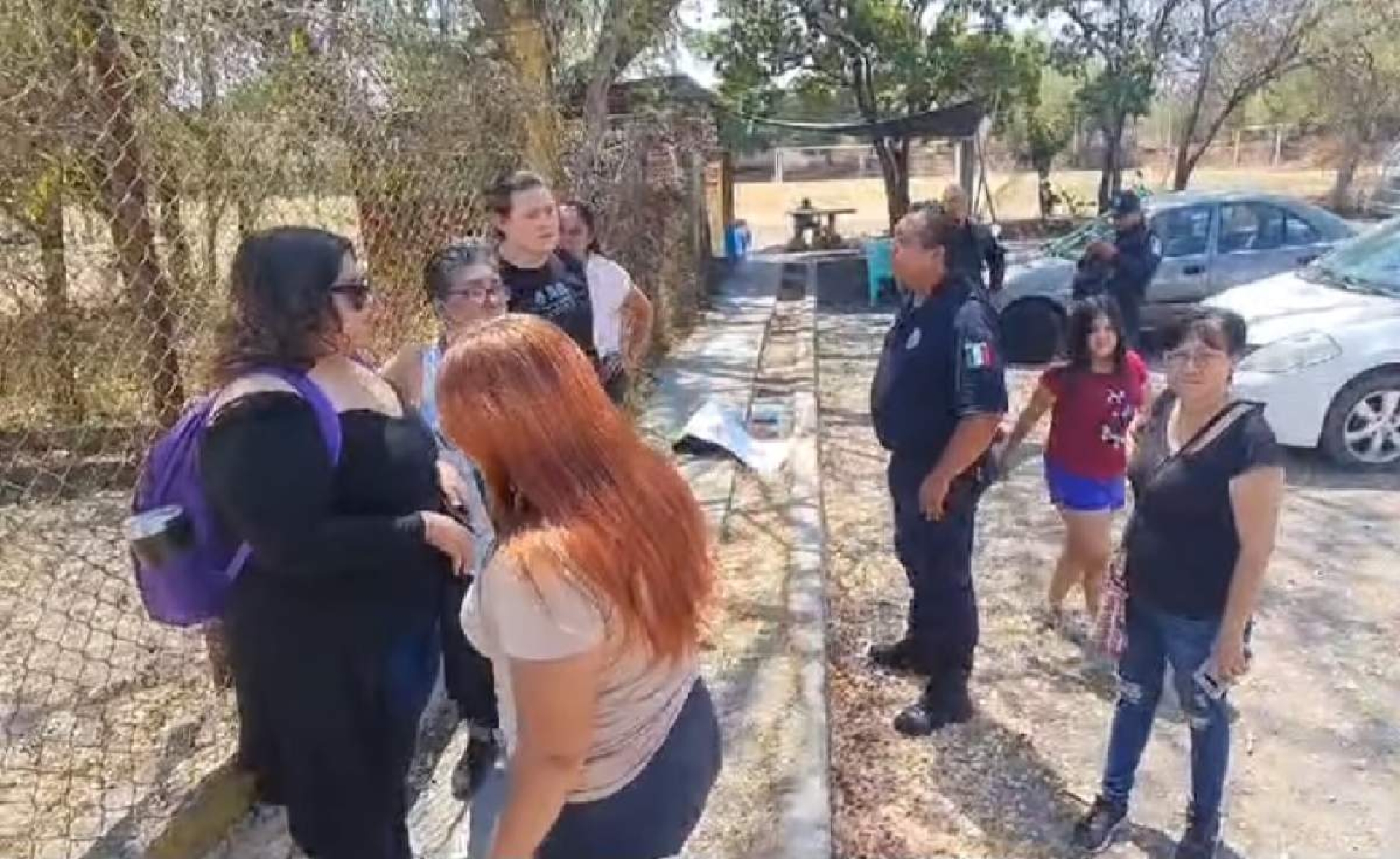 Niega escuela responsabilidad en la muerte de ocho perros