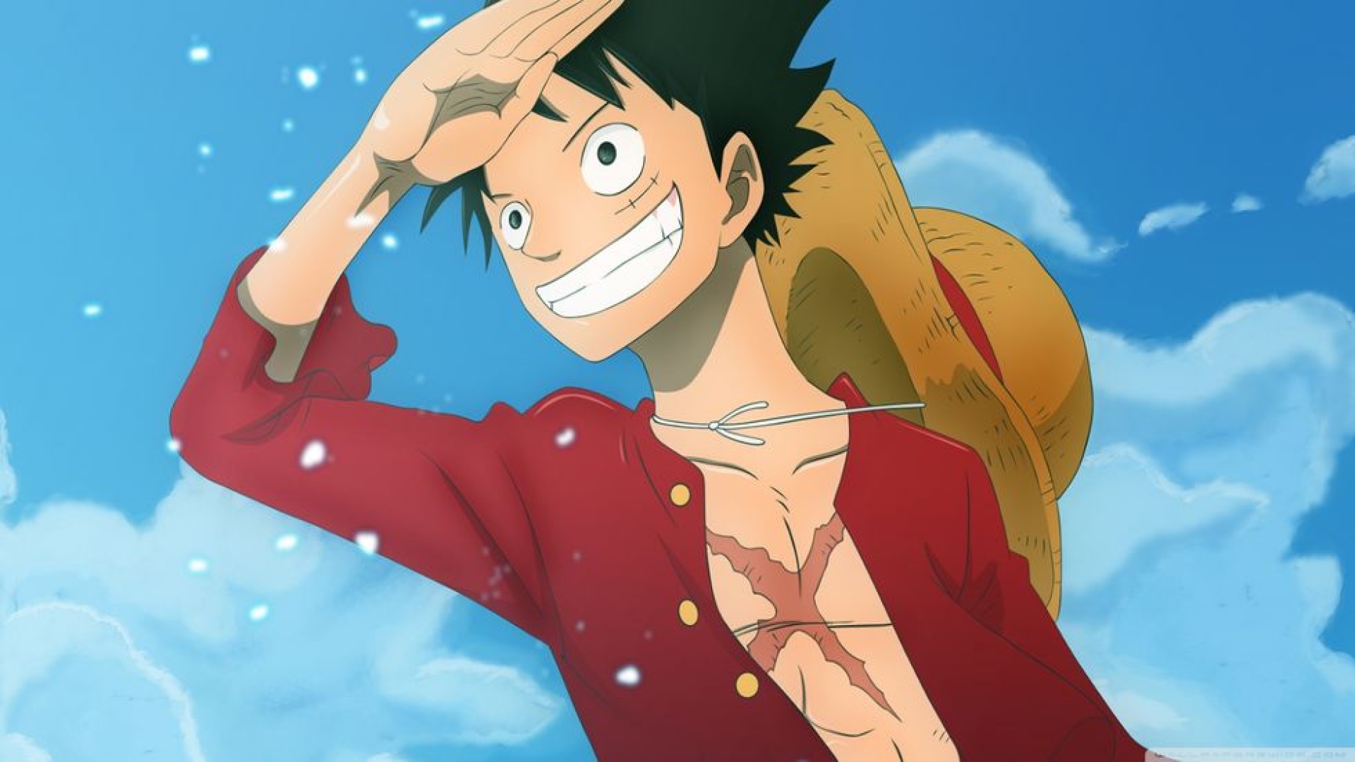 Netflix y wit studio unen fuerzas para remake de 'One Piece'