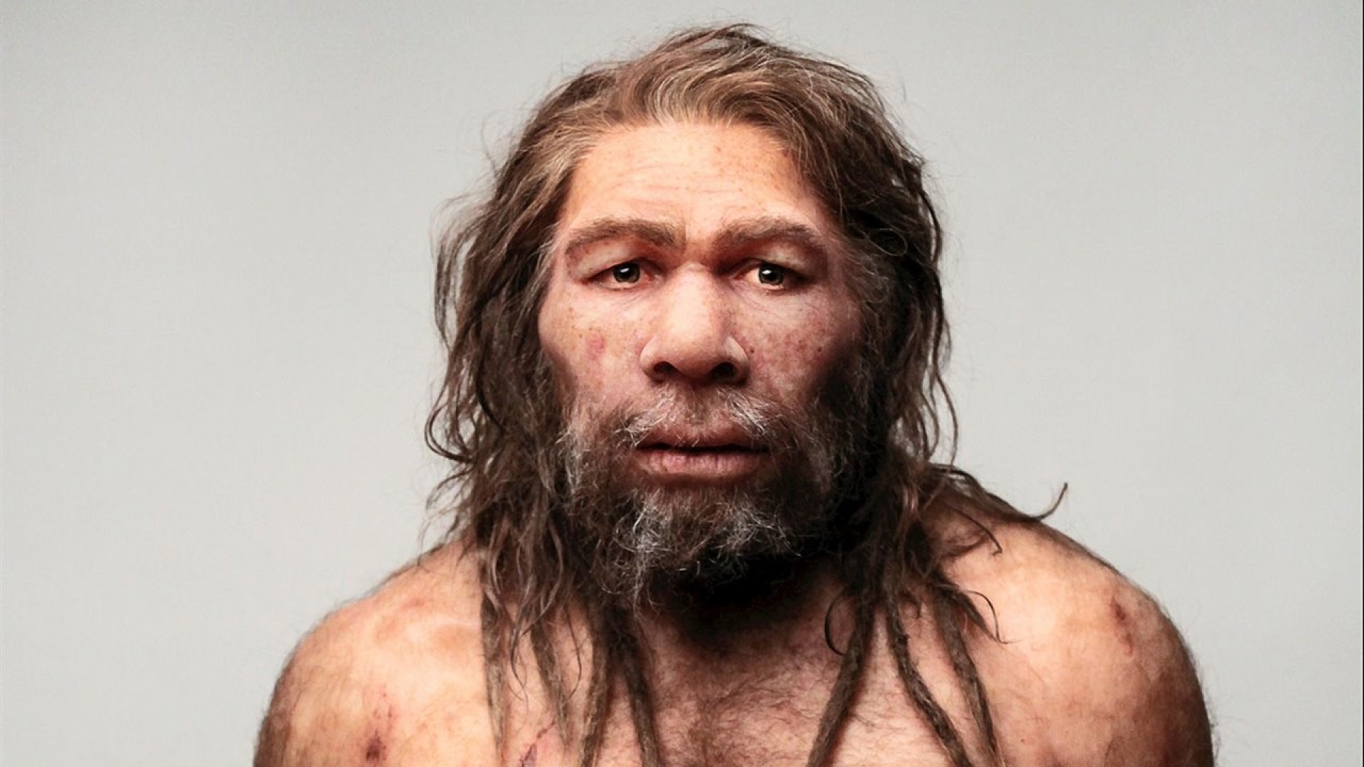 Cómo se adaptaron los neandertales al cambio climático