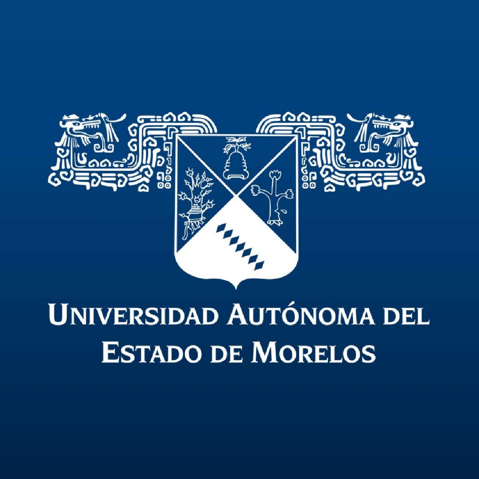 Crecimiento exponencial de espacios virtuales en la UAEM