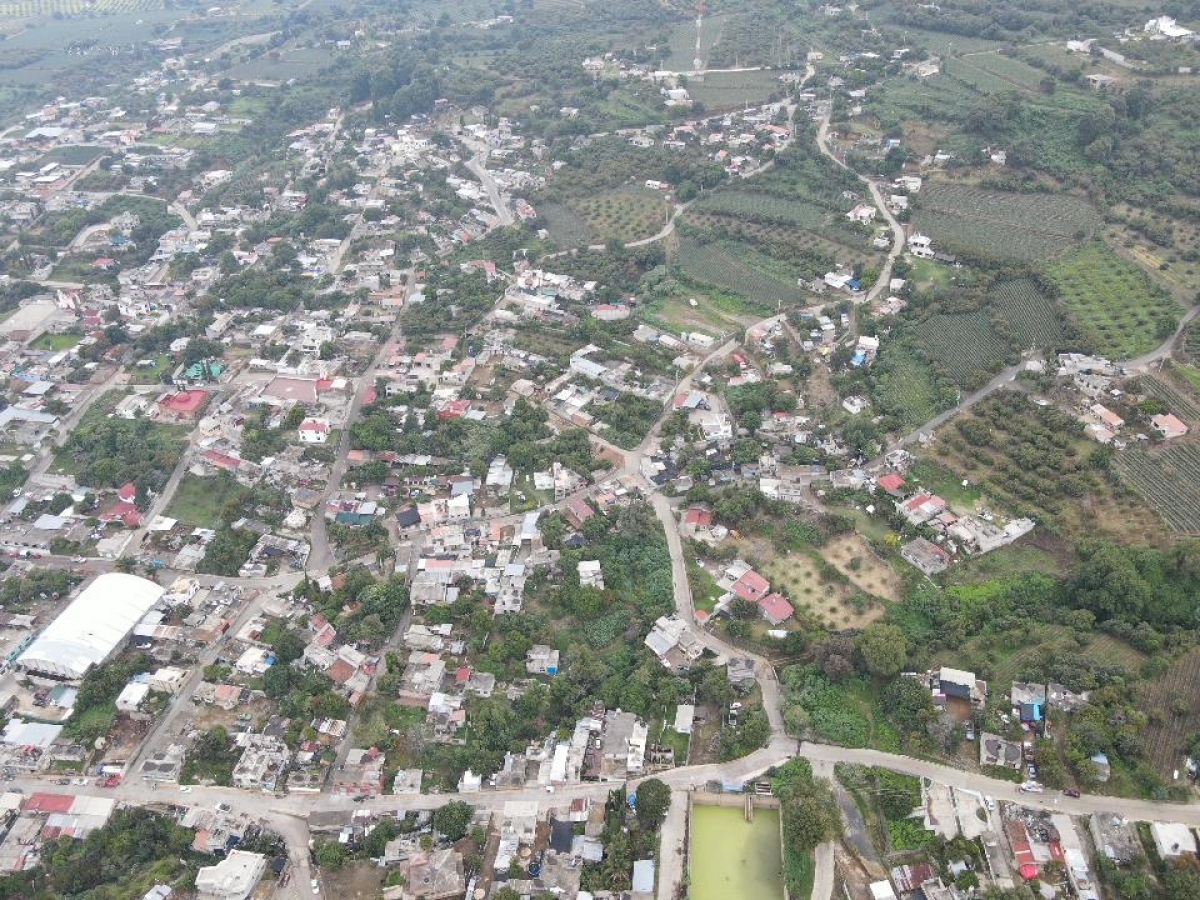 Operativo de Sedena en Tlalnepantla para detectar tala clandestina y delitos ambientales