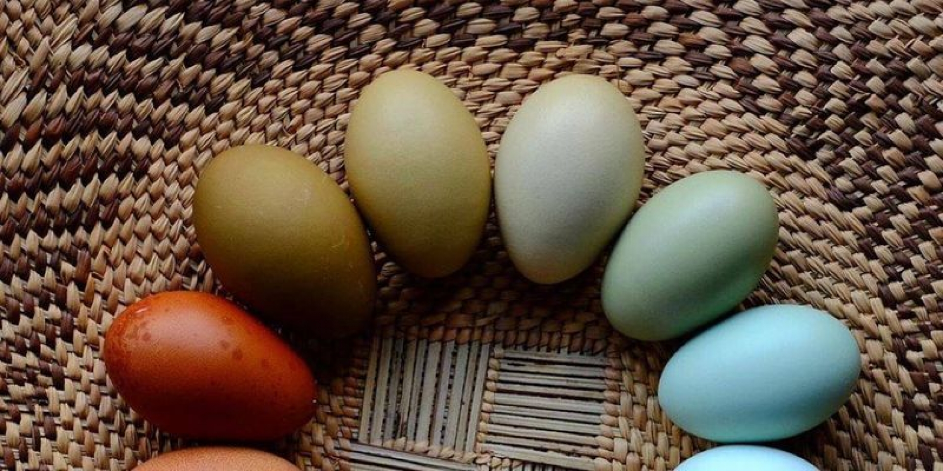 ¿Qué es la albúmina del huevo y para qué sirve?
