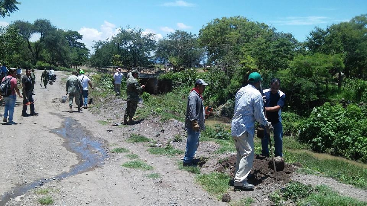 Inicia Edgar Muñoz Sanabria con la segunda etapa de reforestación en la comunidad de Telixtac