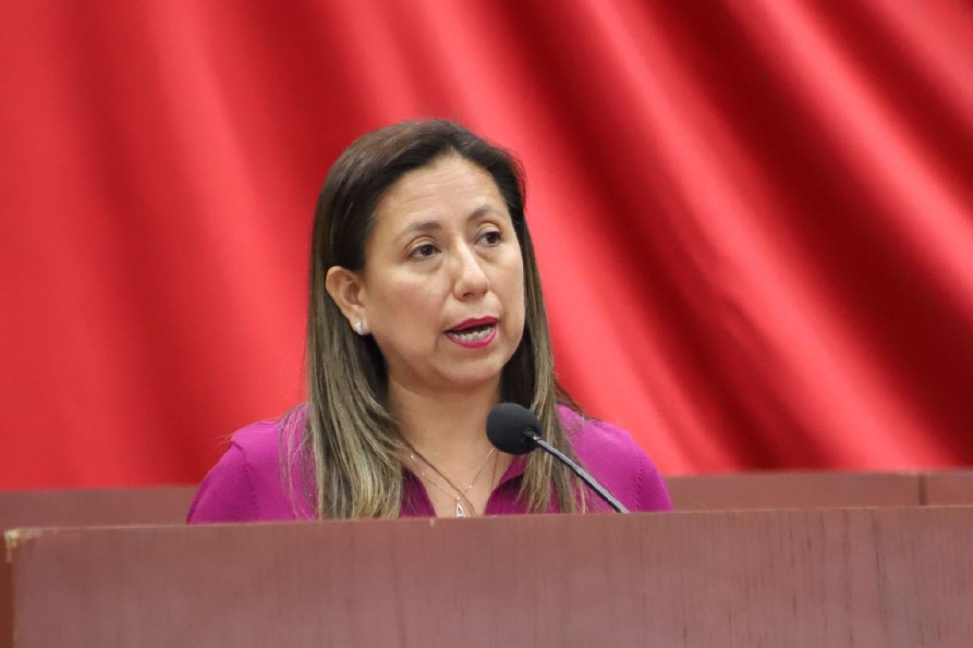 Prioritario, avanzar en el trabajo legislativo: Alejandra Flores