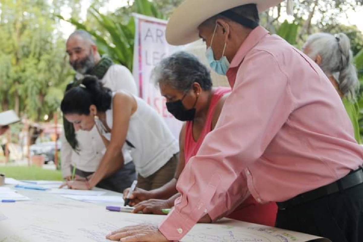 Firman plan para impulsar el cultivo de la marihuana
