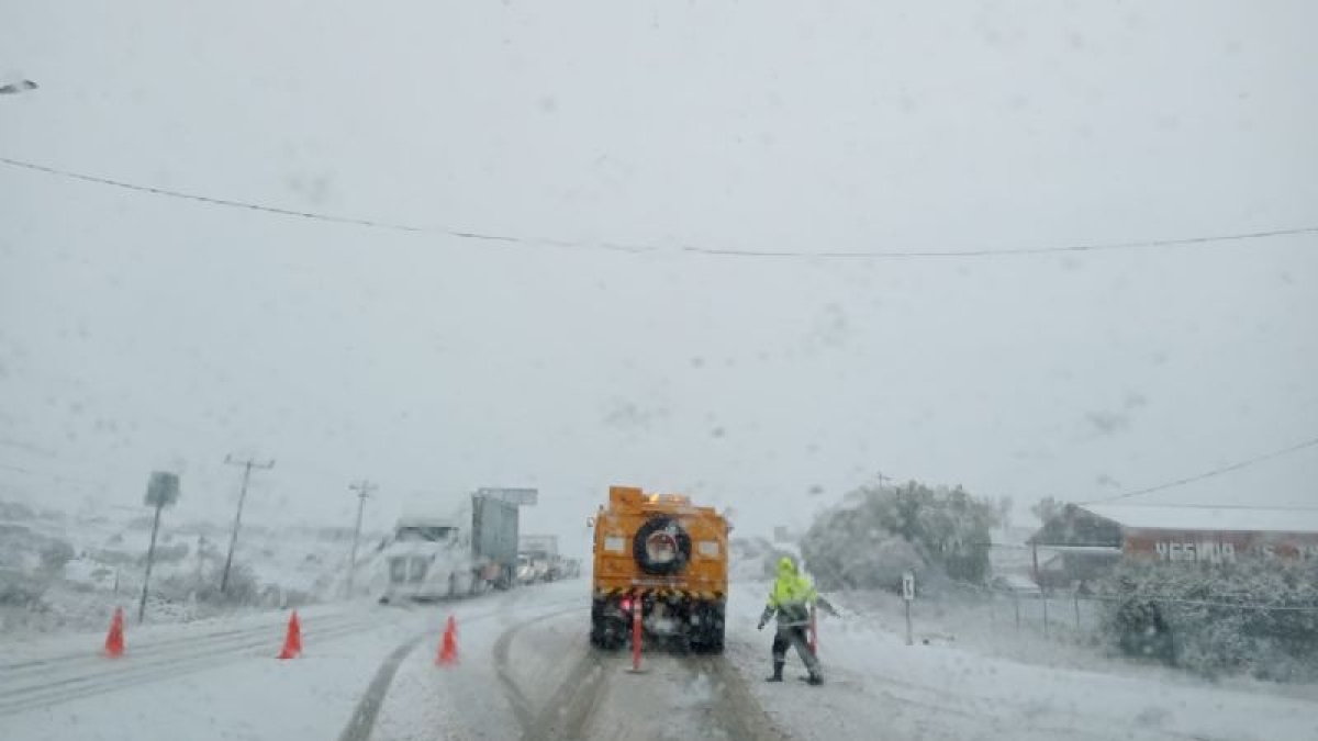 Se registra la primera nevada de la temporada invernal en Tecate, BC