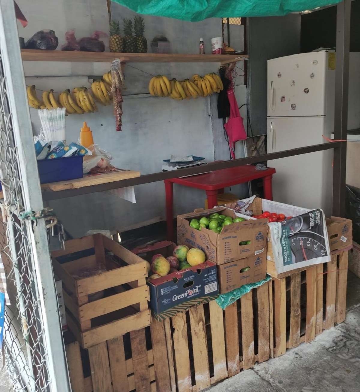 “Comienza a mejorar la venta de fruta”