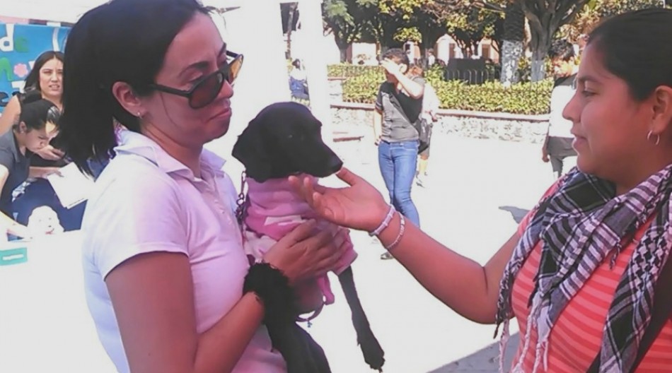 Piden vecinos que se inicie introducción de drenaje en el fraccionamiento las Brisas de Cuautla