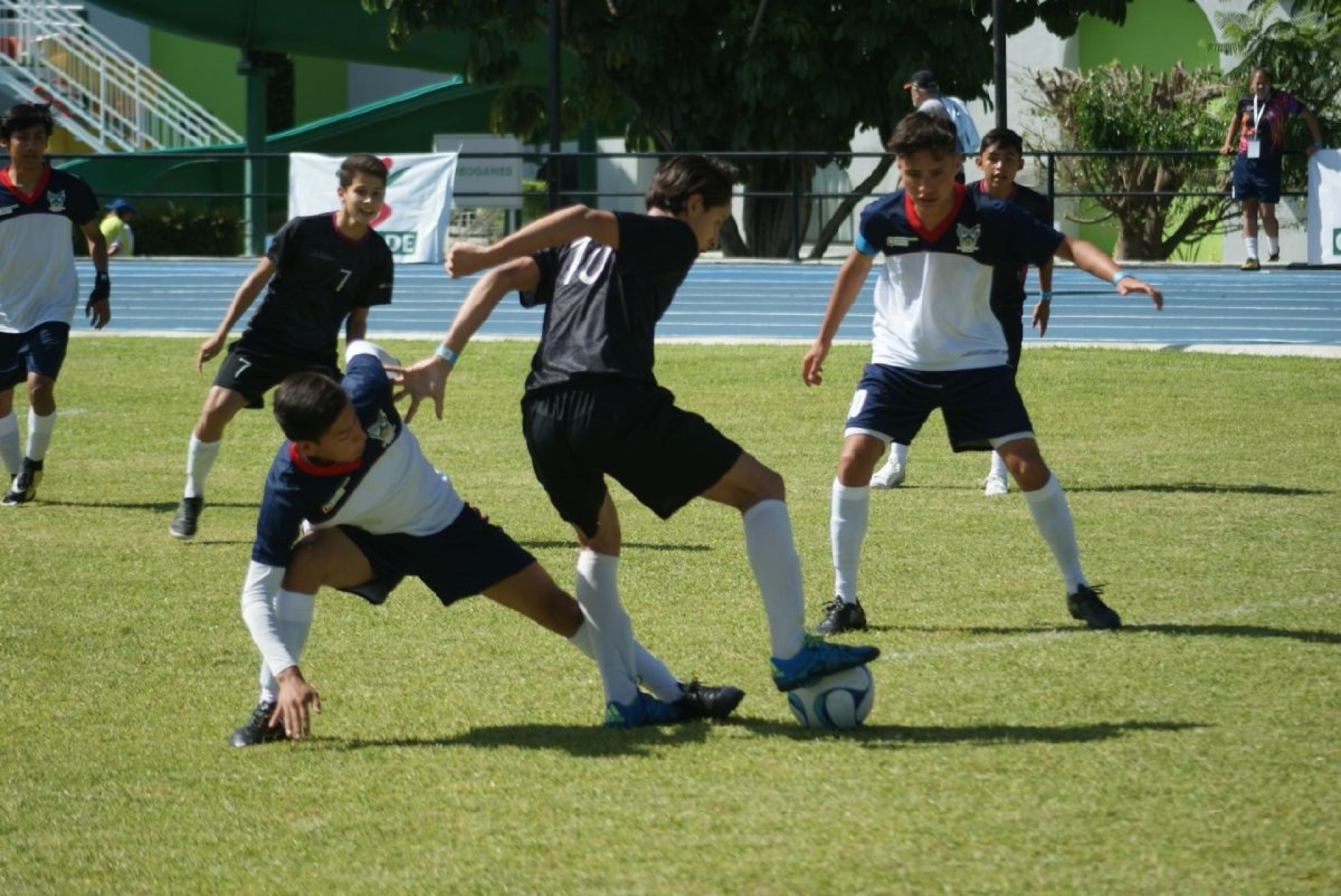 Van por calificación