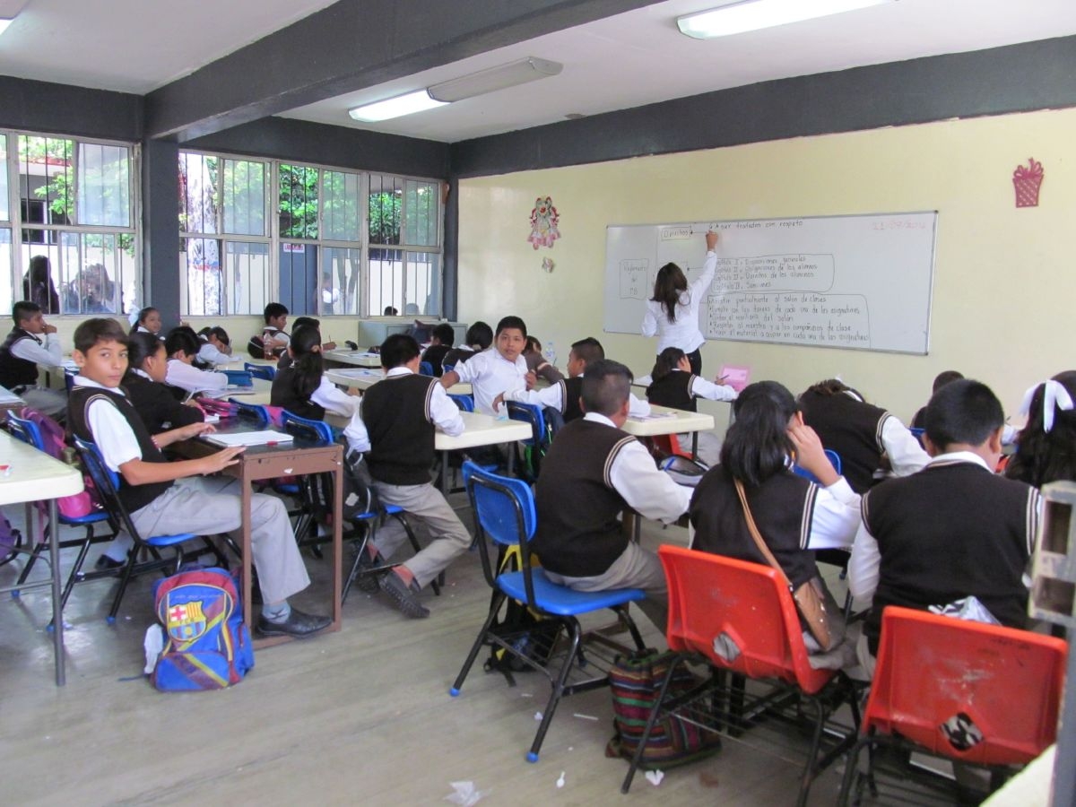 Preparan los cursos para capacitar a profesores en nuevo plan de estudios