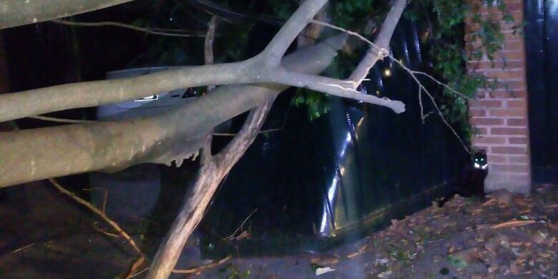 Informa PC Cuernavaca sobre afectaciones por fuerte viento