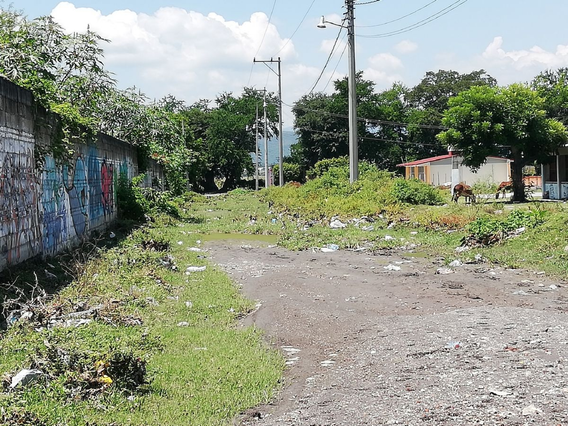 Sigue obstruida con escombro la calle Galeana en Coatetelco: habitantes