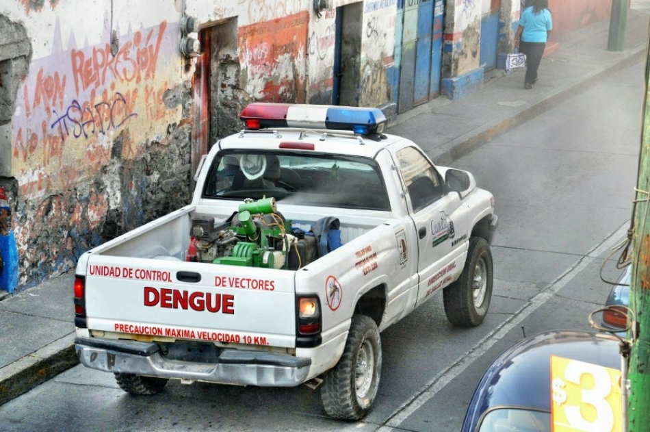 Cambio climático favorece condiciones para reproducción del mosco transmisor del dengue