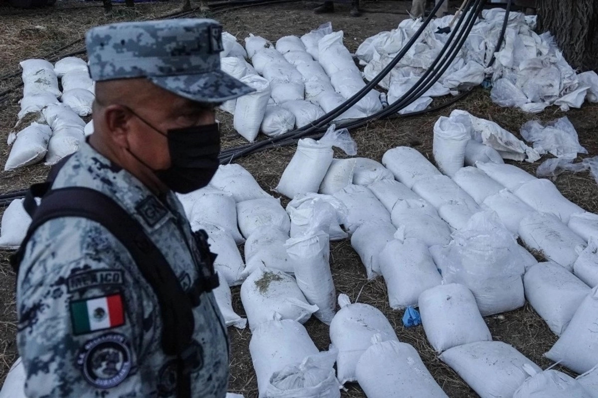Operación Frontera Norte deja fuertes golpes al crimen organizado en varias entidades