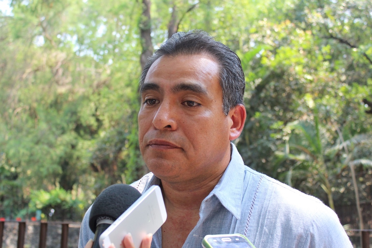 Implementarán Conafor y Profepa operativo para evitar extracción ilícita de pinos