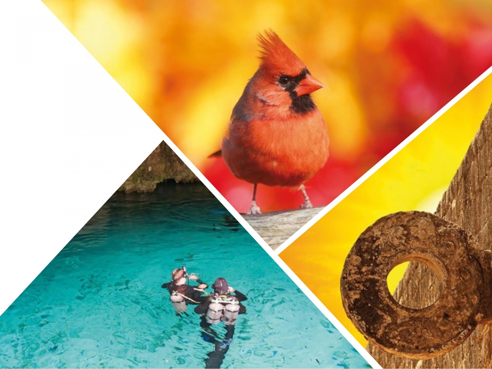 Turismo social, una propuesta desde la ciencia