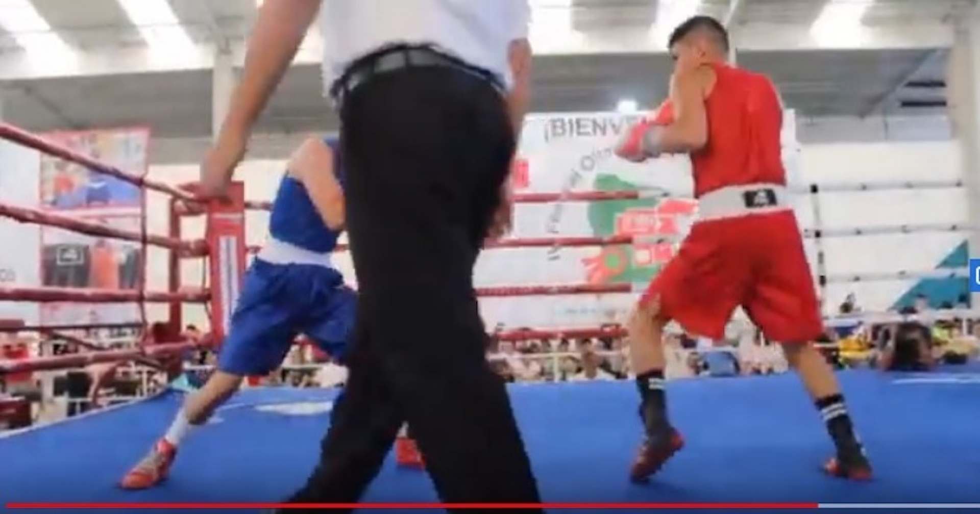 Retrasada, la escuela de boxeo en Jojutla