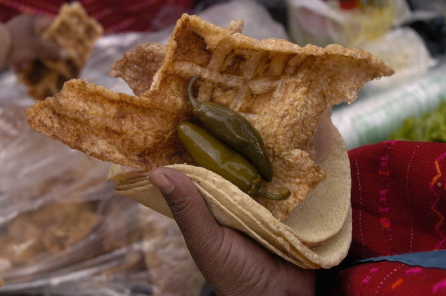 Los tacos mexicanos toman la Universidad de Kentucky en EU