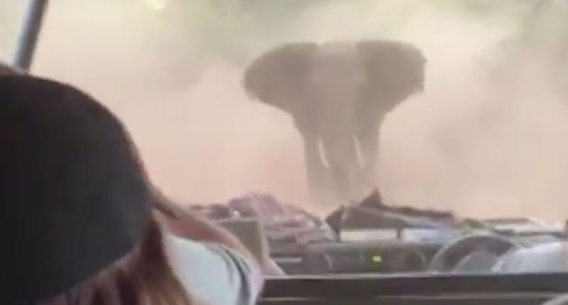 El momento exacto en que un elefante furioso embiste el safari de un grupo de turistas