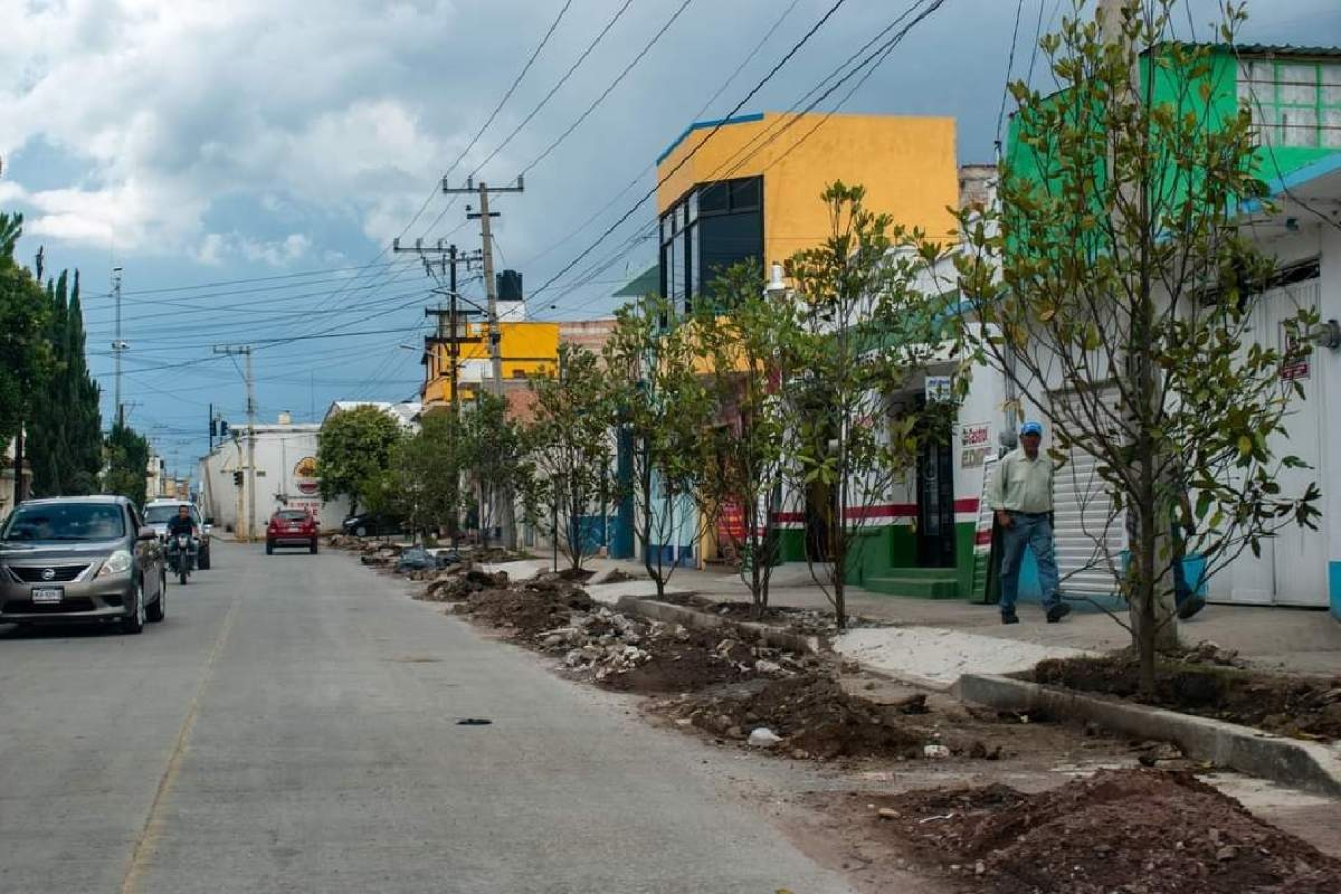 Reforestación urbana