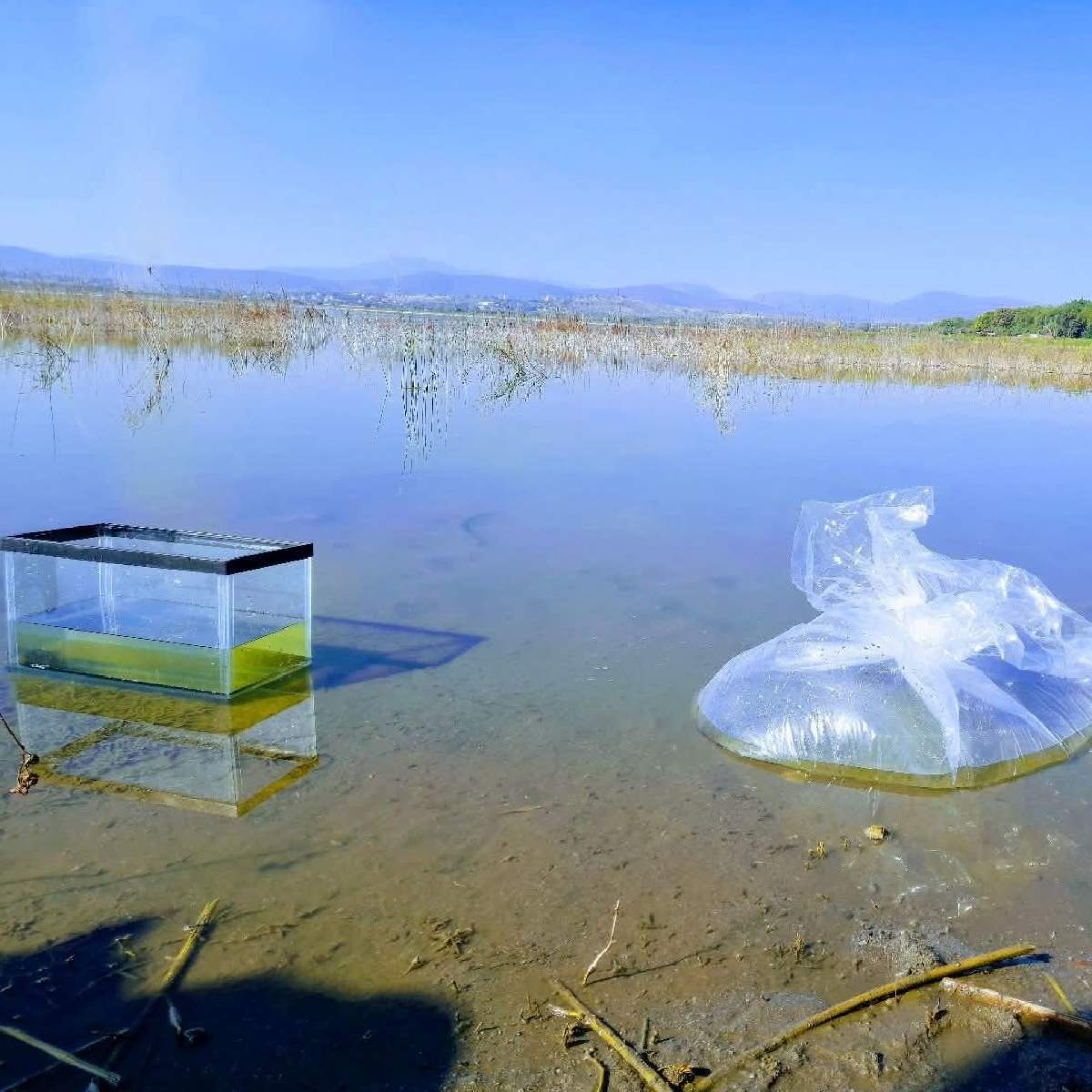 Aumenta nivel de la laguna de Coatetelco