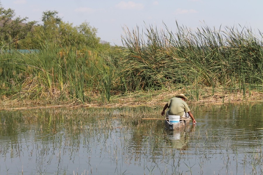 Piden frenar la pesca furtiva en las lagunas de El Rodeo y Coatetelco