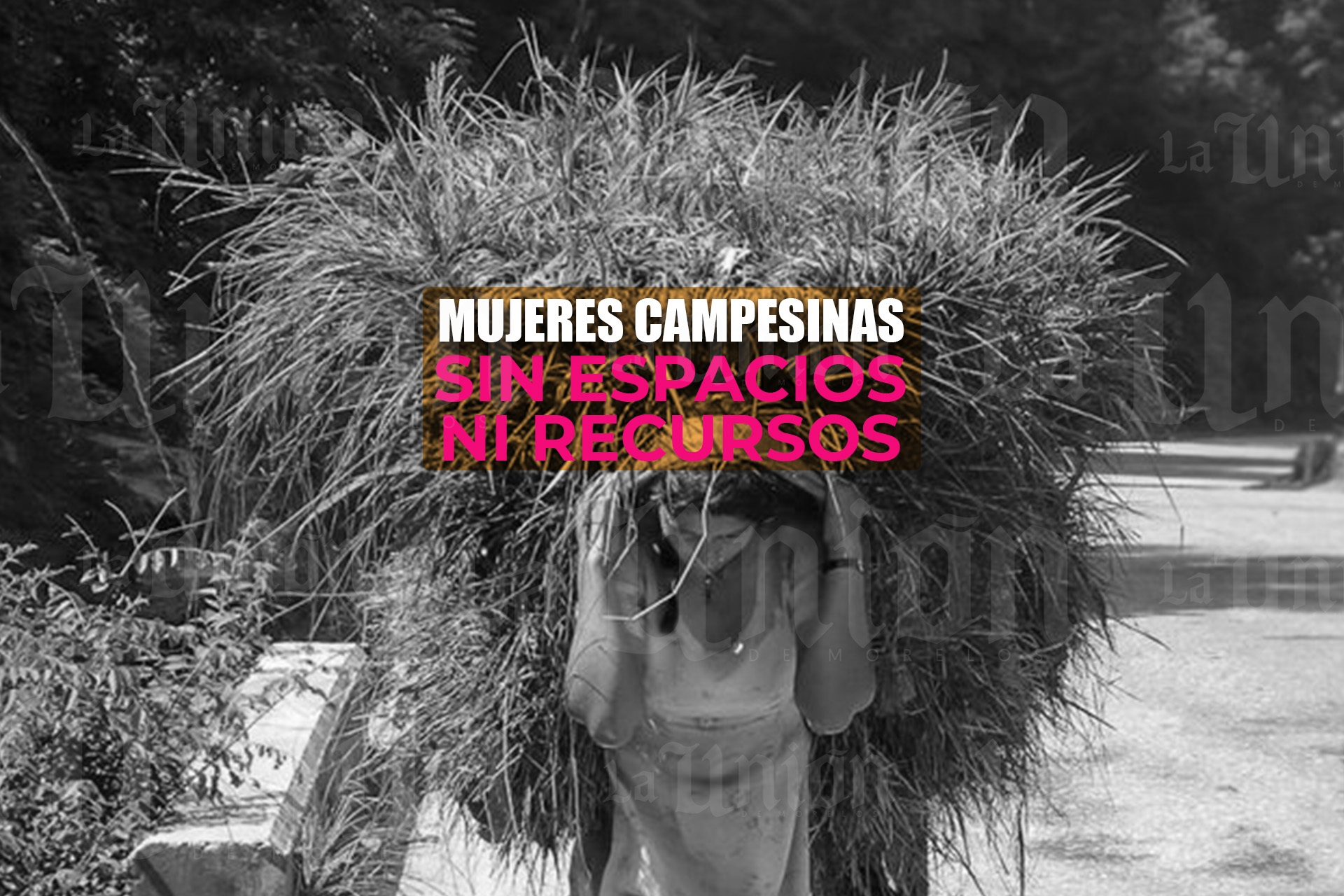Mujeres campesinas, sin espacios ni recursos para desarrollarse: CIOAC