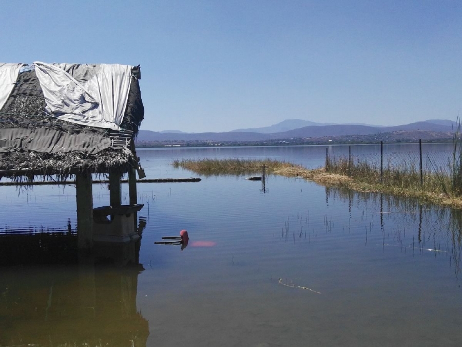 Sin respuesta, descargas de aguas negras a laguna de Coatetelco