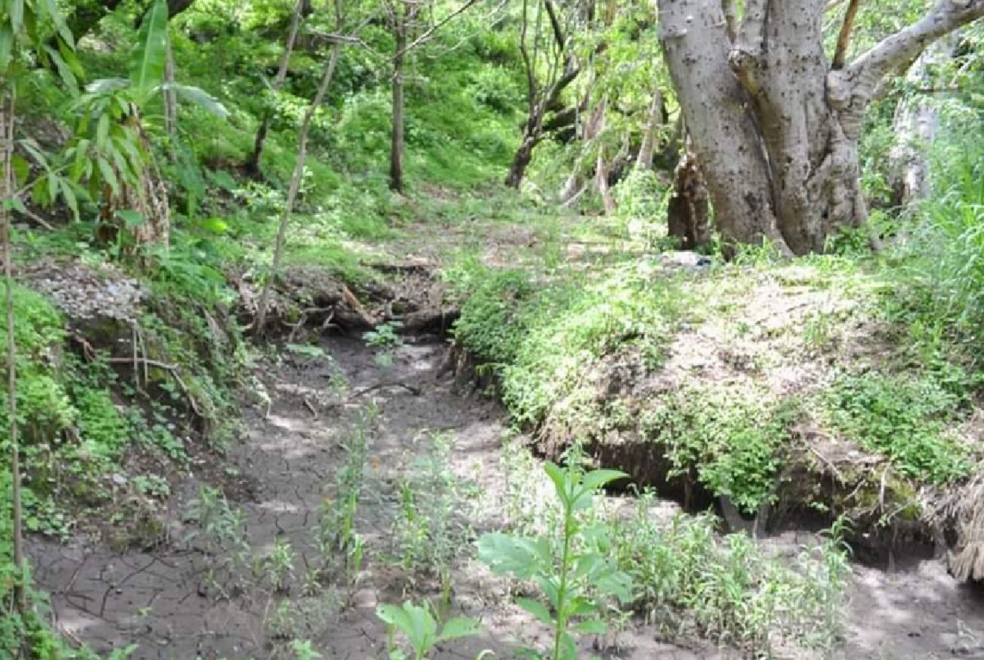 Buscan dotar de agua a agricultores de Cuauchichinola