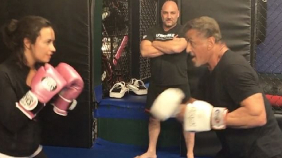 Con un solo golpe Demi Lovato noqueó a Sylvester Stallone