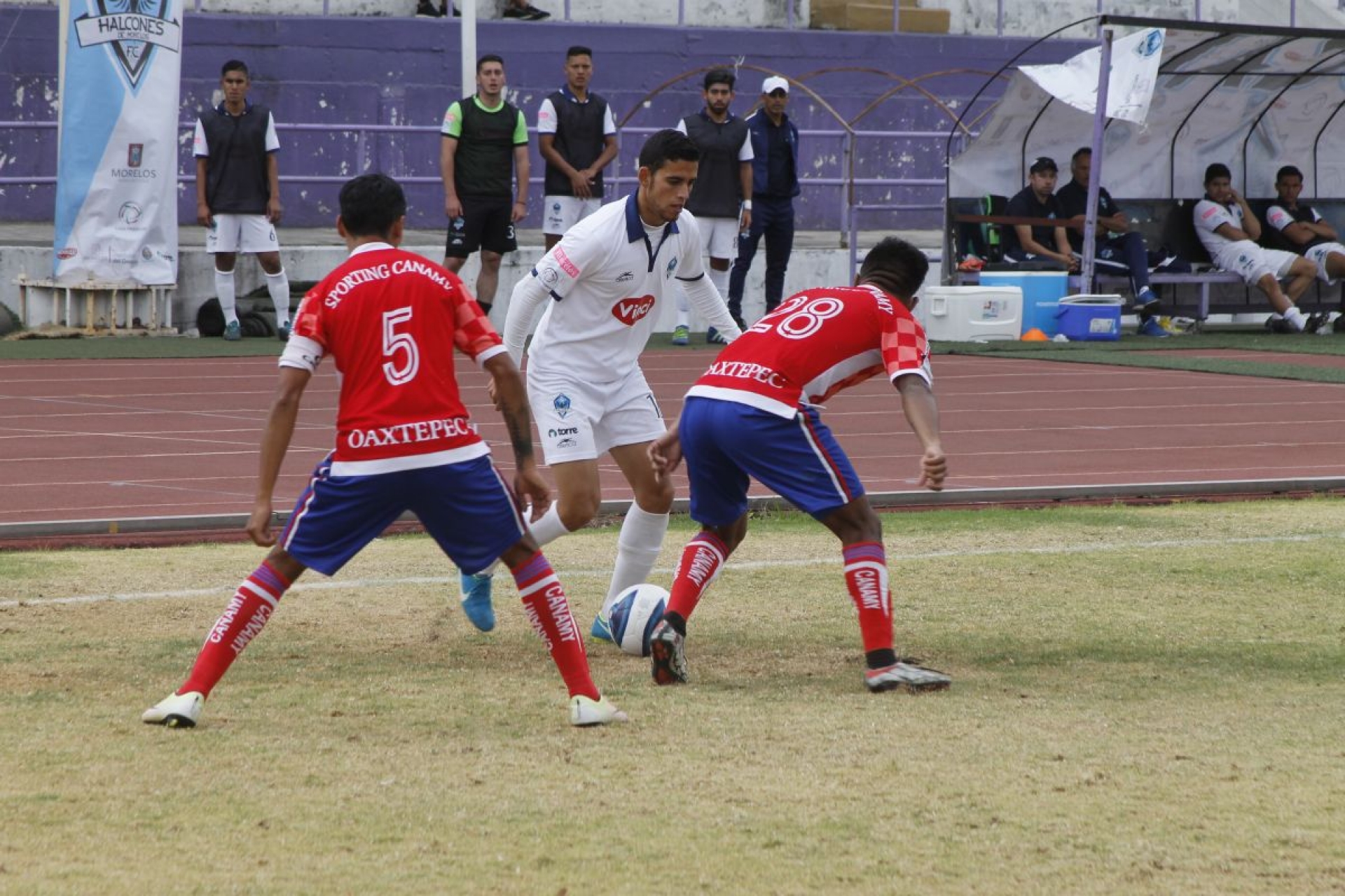 Halcones de Morelos va por el triunfo a Quintana Roo