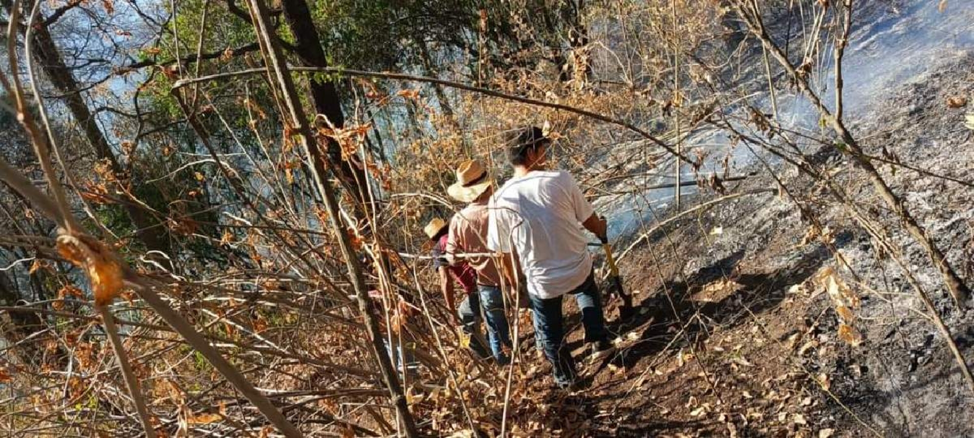 En alerta, Hueyapan ante incendios forestales