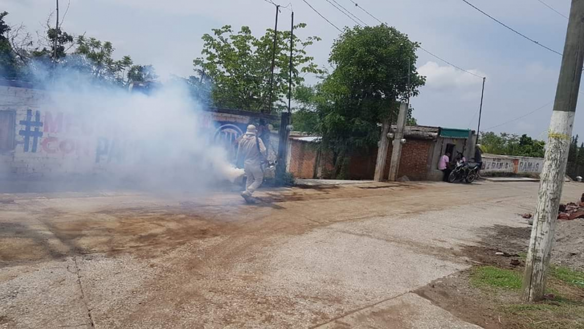 Realizan campaña de eliminación de garrapatas en perros y gatos en Yecapixtla
