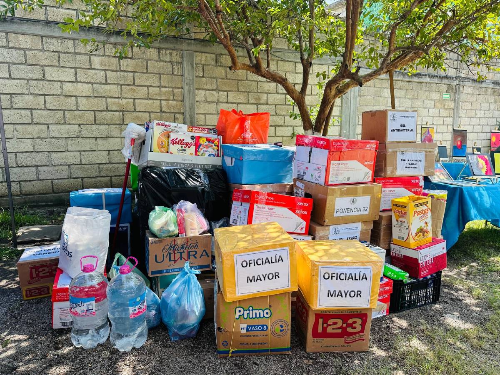 Refugio de la Mujer de Jojutla recibe donación del TSJ