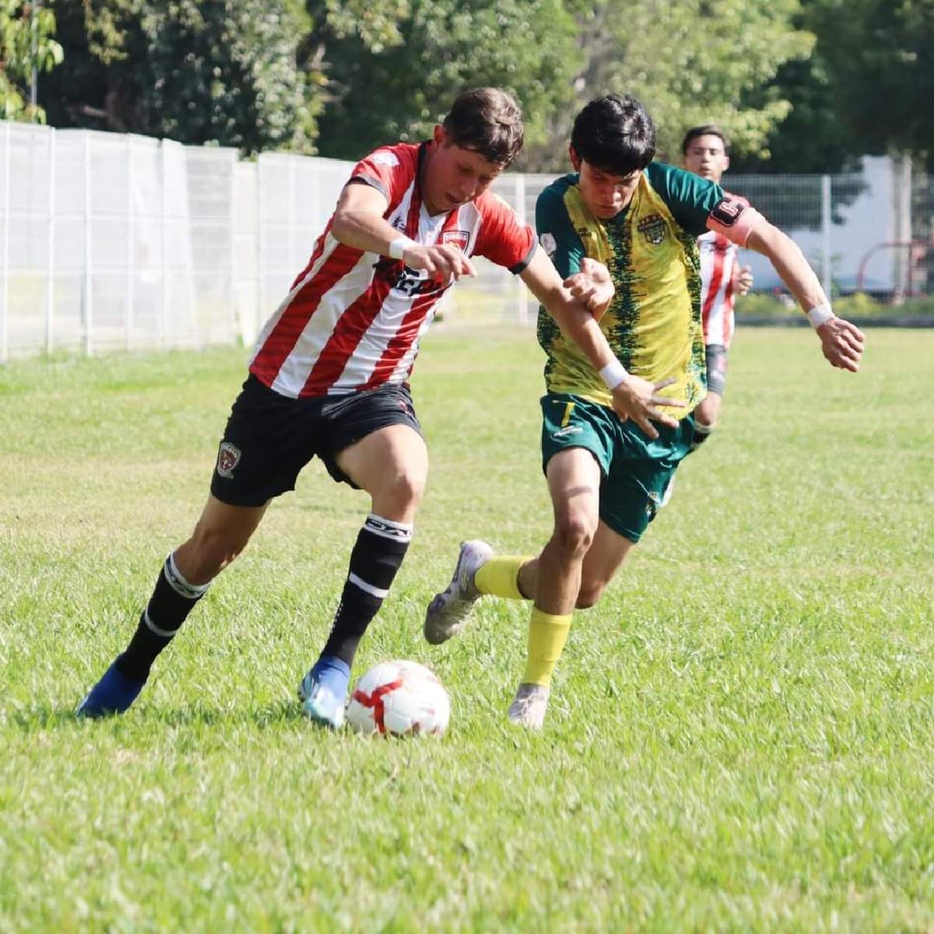Tigres de Yautepec, sublíderes