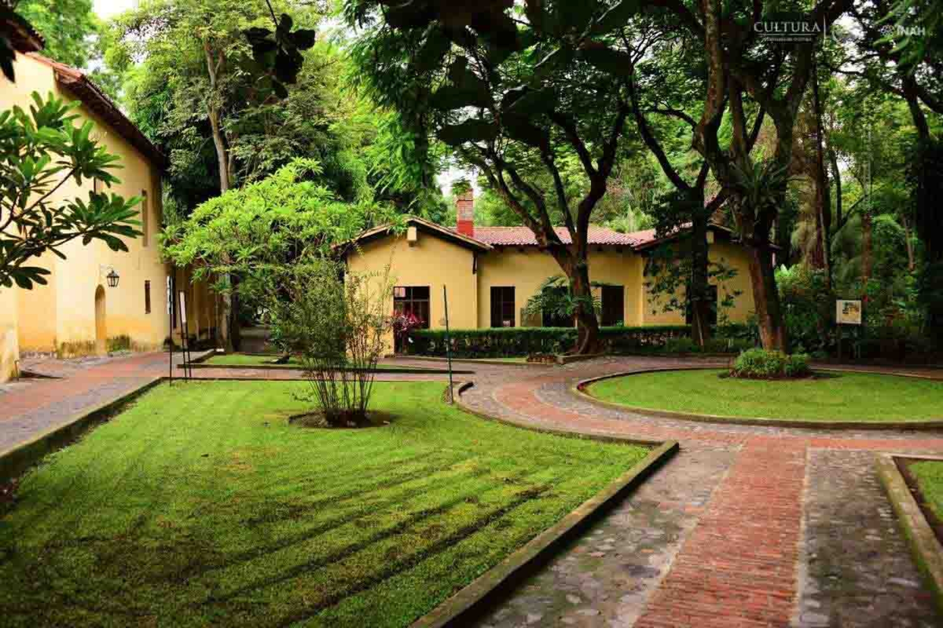 MEDICINA TRADICIONAL Y TURISMO  El Jardín Etnobotánico y su colección de plantas medicinales
