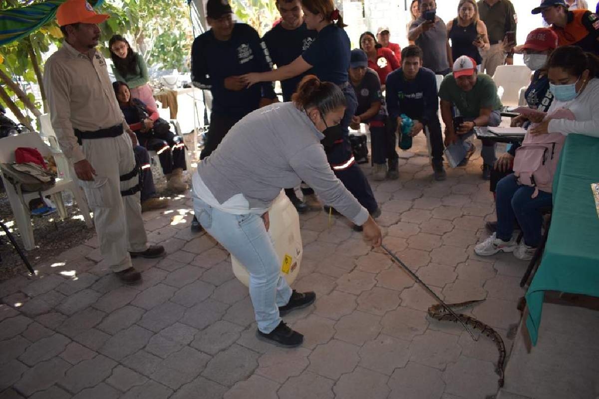 Imparten taller de manejo de serpientes de Xoxocotla