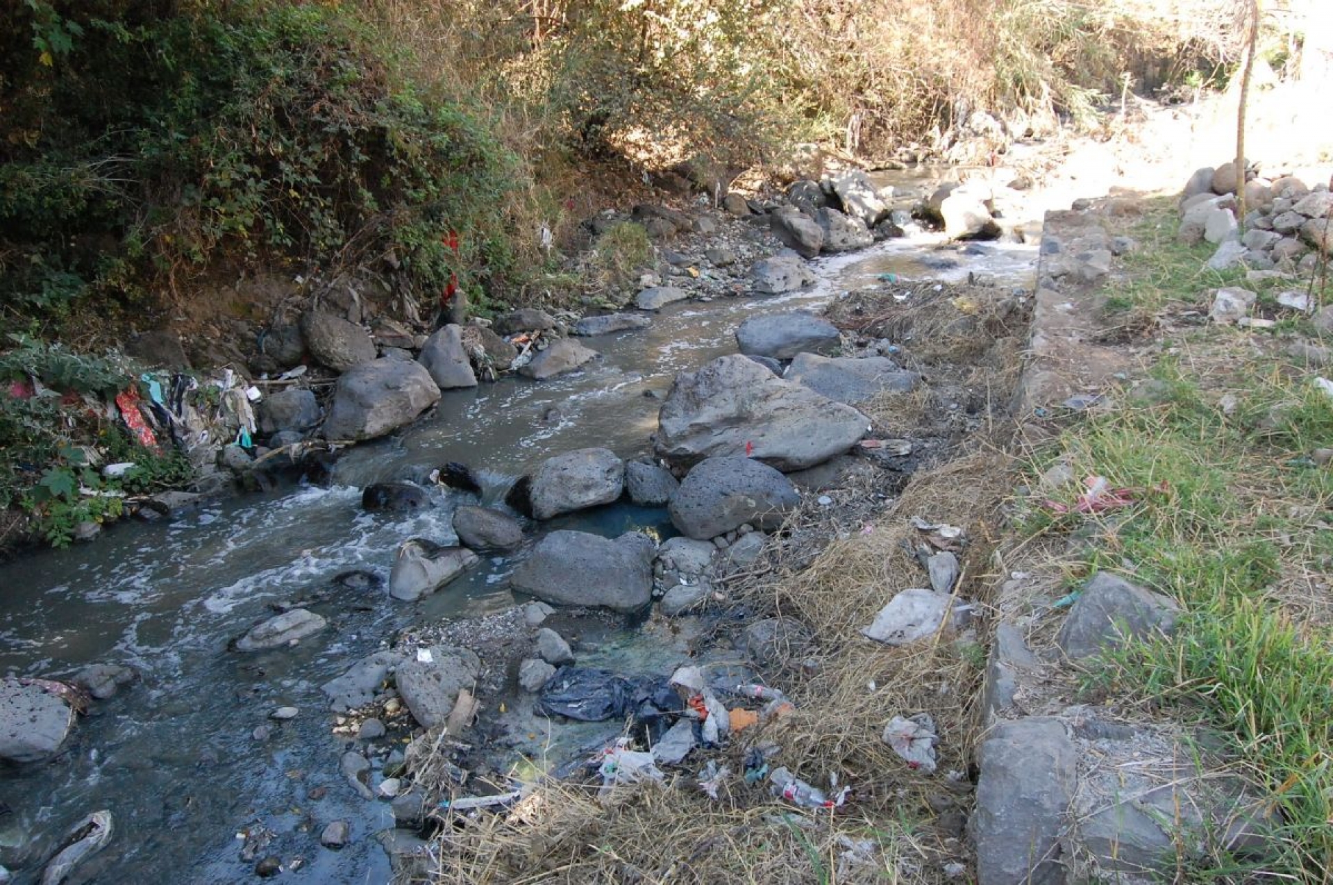 Necesario, declarar área natural protegida las barrancas del estado: SDS