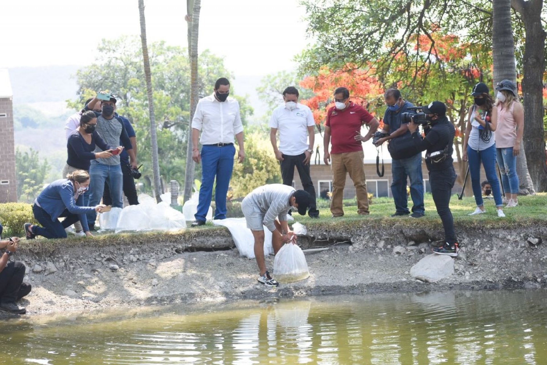 Realiza el Ayuntamiento de Jojutla siembra de tilapia
