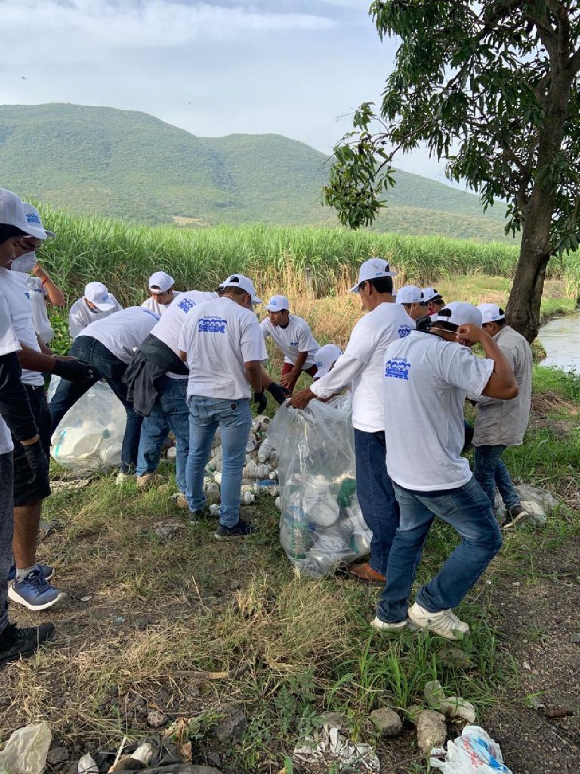 Buscan instalar centros de acopio de envases agroquímicos