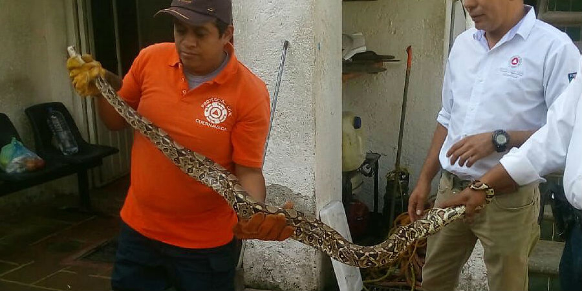 Capturan una serpiente en el estacionamiento de una tienda, en El Vergel