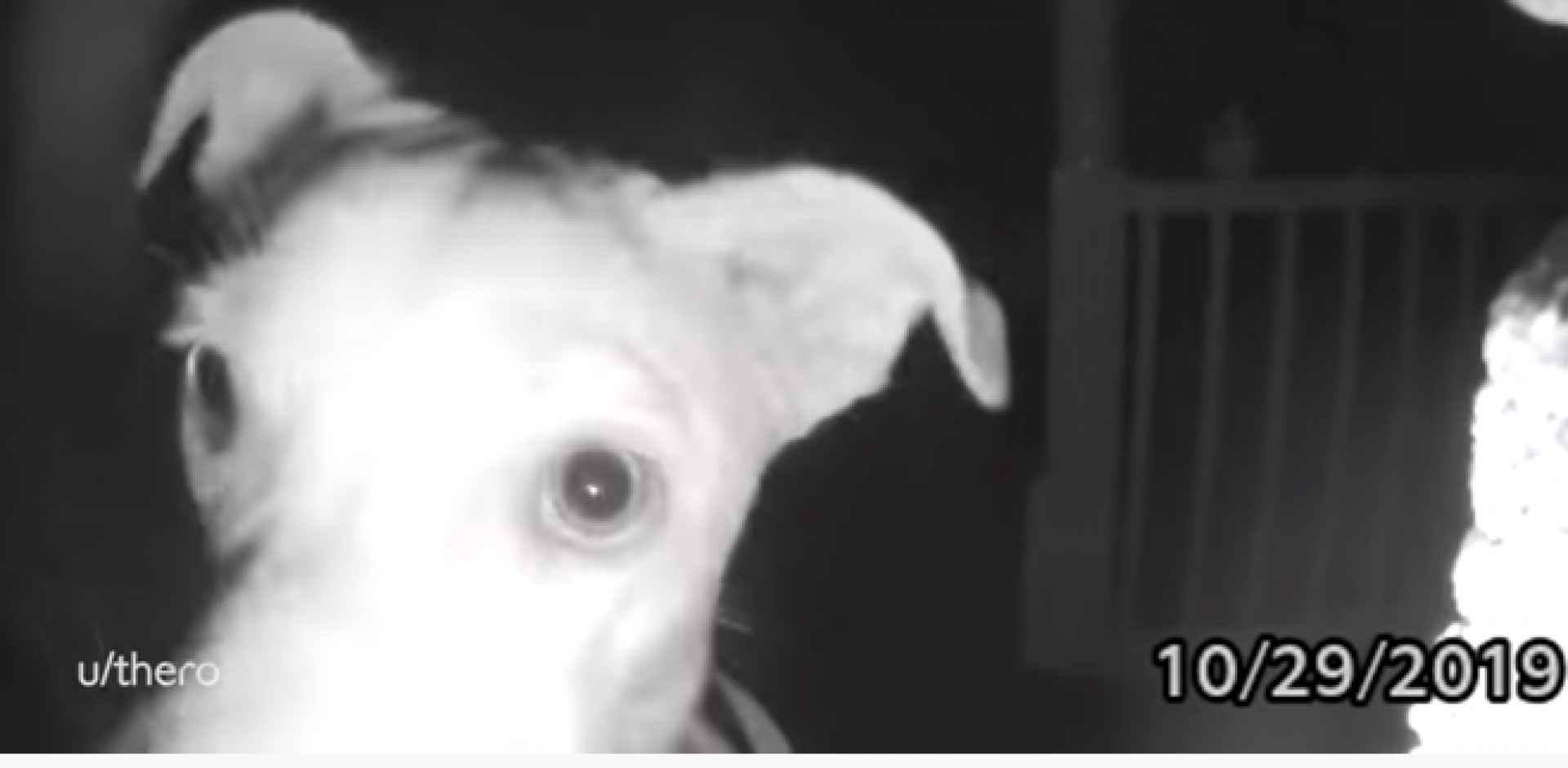 VIDEO: ¿Hay alguien en casa?